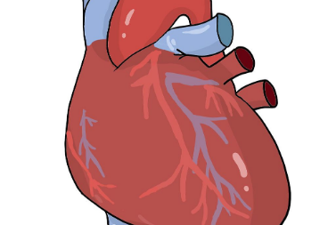 图片30.png 图片30.png